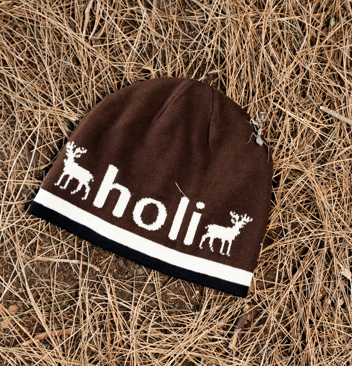 holiday brand x sonny *boy* - reversible beanie (brown/blue)